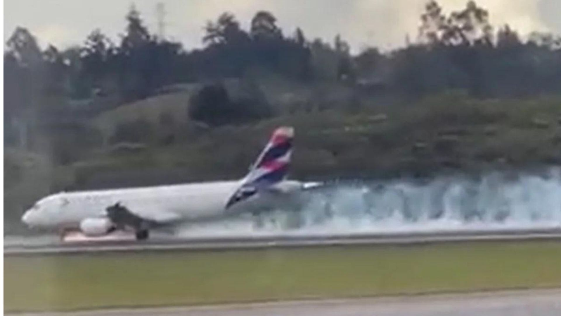 Pasajeros Denuncian Que Avión De Latam Tenía Fallas Desde Antes De Despegar De Rionegro Infobae 5291