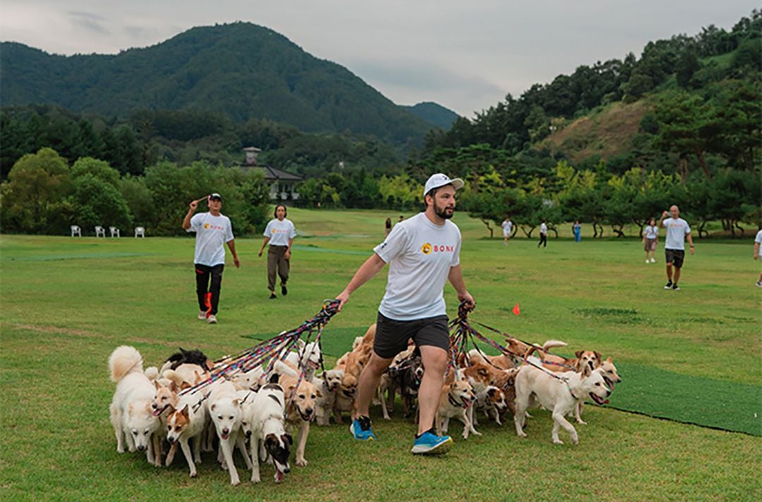 El evento apoya la adopción de perros rescatados; todos los participantes provinieron del refugio Korean K9 Rescue (Guinness World Records)