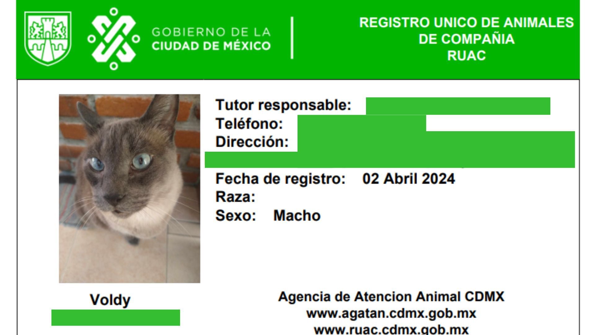 qué edad tienes que tener para registrar un perro