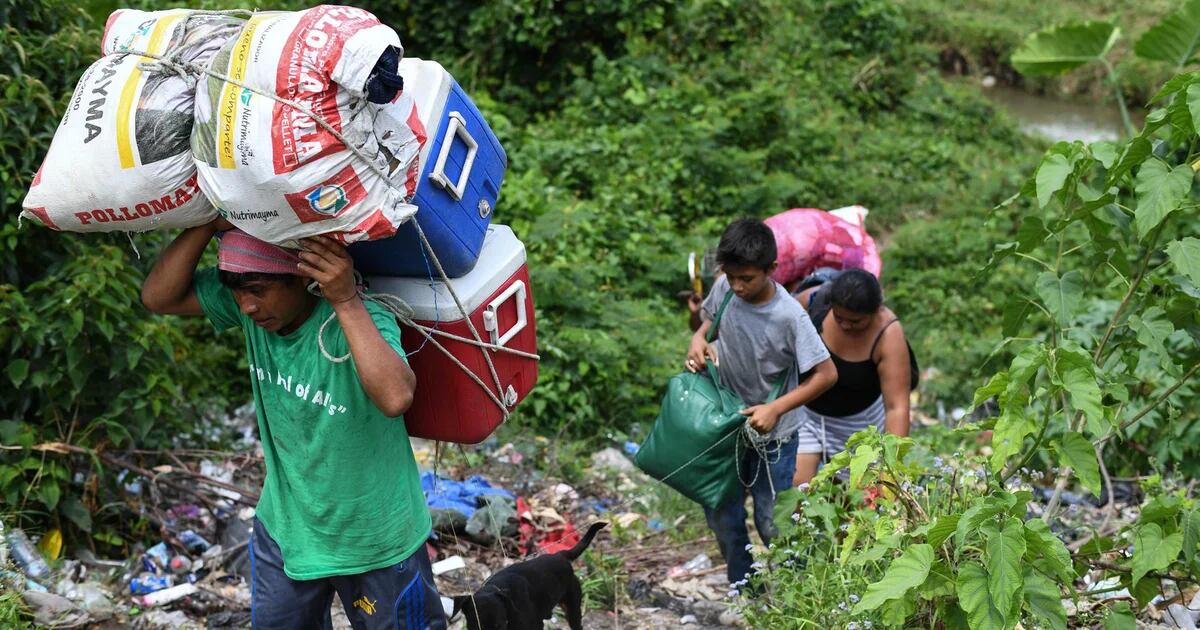 Unos 600 habitantes de Chiapas huyen de México a Guatemala por combates