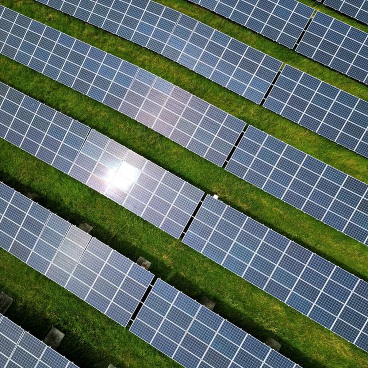 Alista CRE 'castigo' a paneles solares - Alista CRE 'castigo' a paneles  solares- “El Gobierno federal castigará a las pequeñas empresas que  generan electricidad con paneles solares para su autoconsumo y que