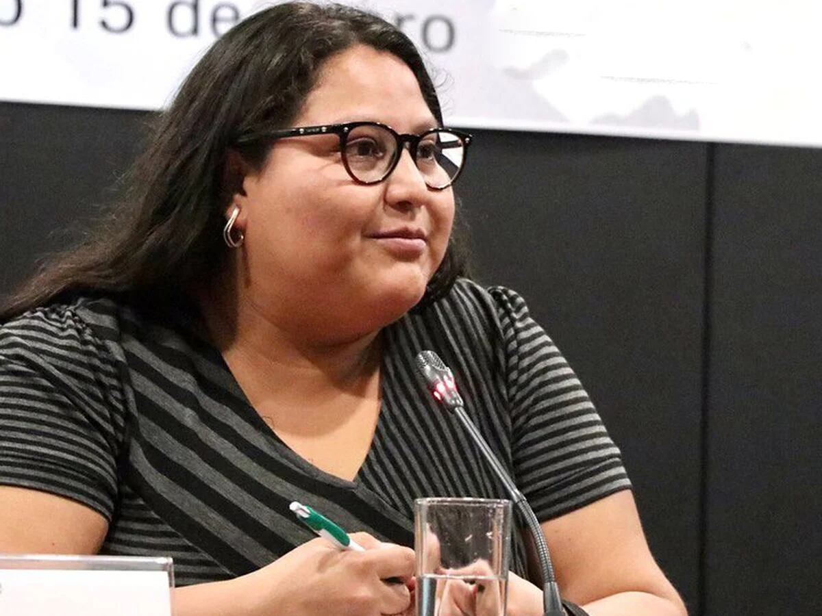 Citlalli Hernández denunció ataques en redes tras critica a legisladores  opositores: “La derecha odia” - Infobae