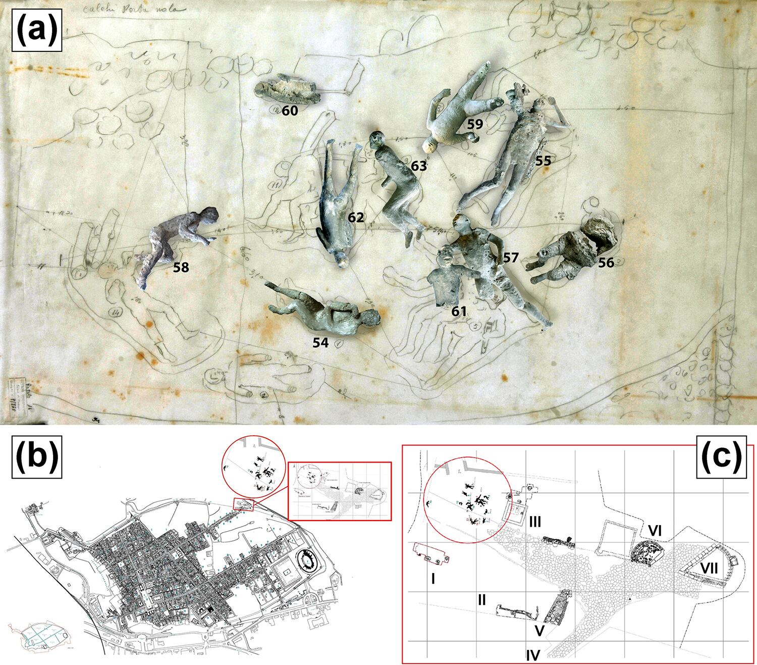 Moldes de yeso de una víctima de la erupción del Vesubio en Pompeya. Un estudio revela que la asfixia fue la causa más probable de su muerte   (Llorenç Alapont, Gianni Gallello)