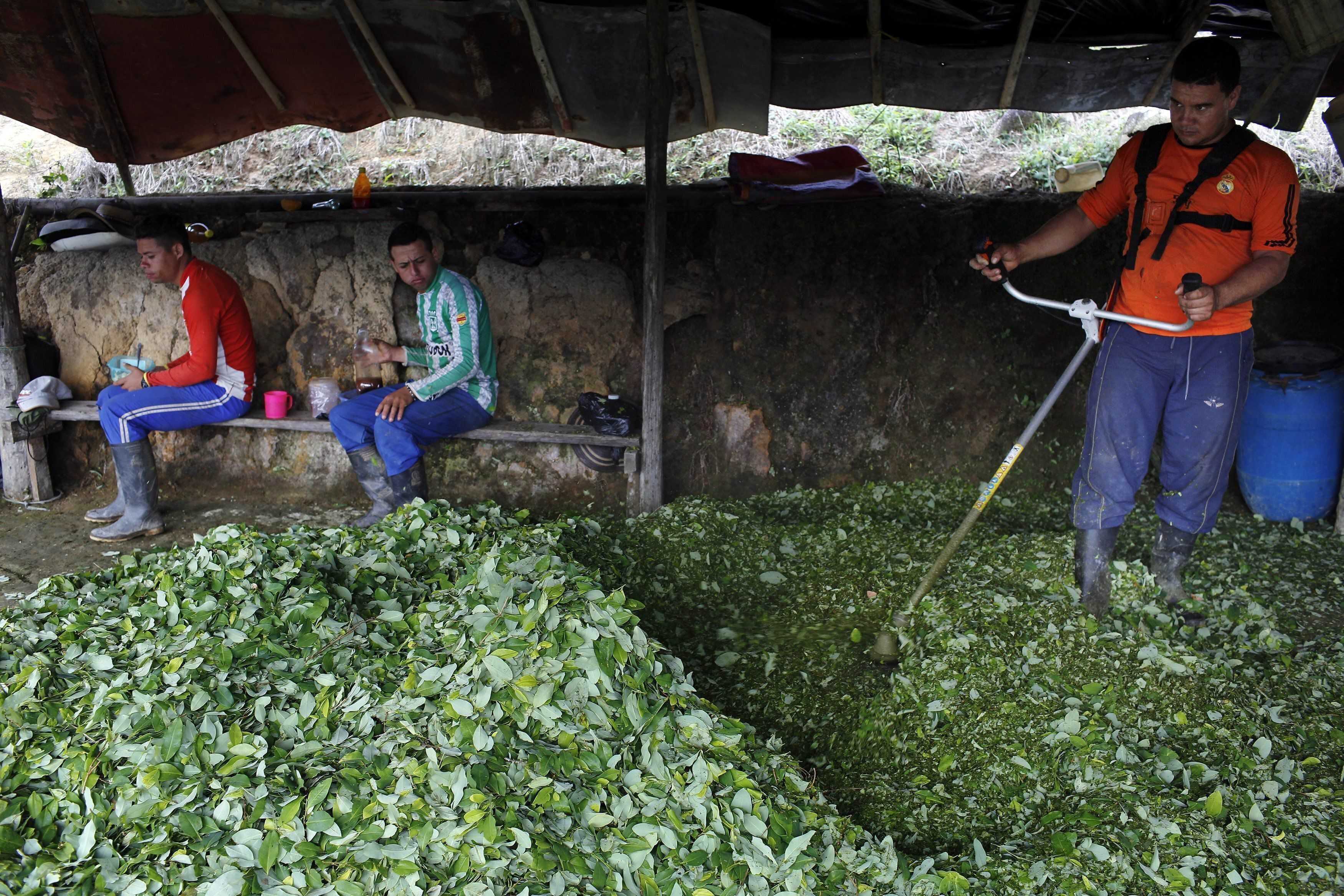 La política de drogas también busca fortalecer el control a la comercialización de los insumos químicos utilizados en la producción de cocaína y heroína - crédito Rodrigo Abd/AP Foto