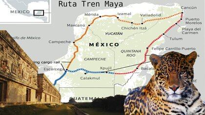 El tren maya recorrerá aproximadamente 1,500 kilómetros y cruzará los estados de Chiapas, Tabasco, Campeche, Yucatán y Quintana Roo (Foto: Steve Allen / Infobae)