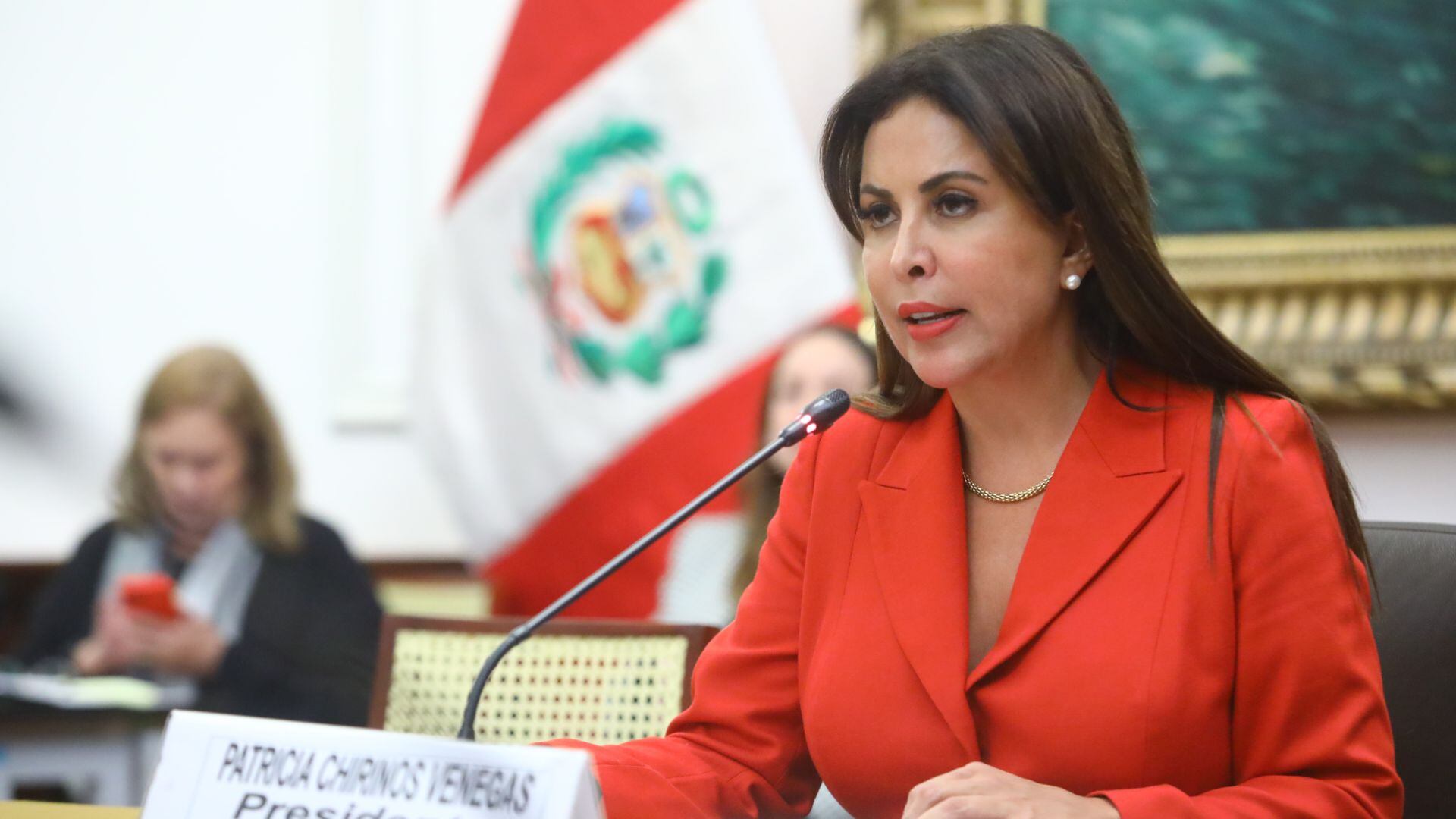 Patricia Chirinos preside la comisión de Defensa Nacional en este periodo. Foto: Congreso