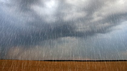 Una vía es recolectar agua pluvial que puede proporcionar una fuente alternativa que compense la demanda de este recurso dulce. El agua de lluvia puede emplearse en el riego de jardines y la limpieza doméstica (Shutterstock)