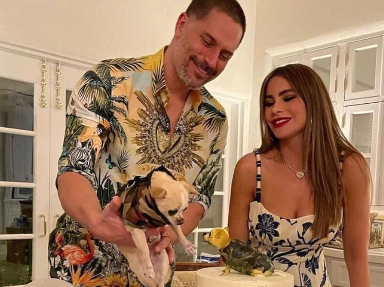 Sofía Vergara y Joe Manganiello no llegan a un acuerdo por la custodia de Bubbles, su mascota, tras su divorcio