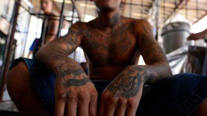 La MS13 es una organización con casi 40 años de historia que ahora será perseguida en los estados unidos como un grupo terrorista.(@EmisorasUnidas)