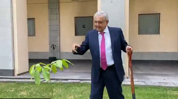 López Obrador subió un video después de sembrar unos árboles (Foto: Captura de Pantalla)