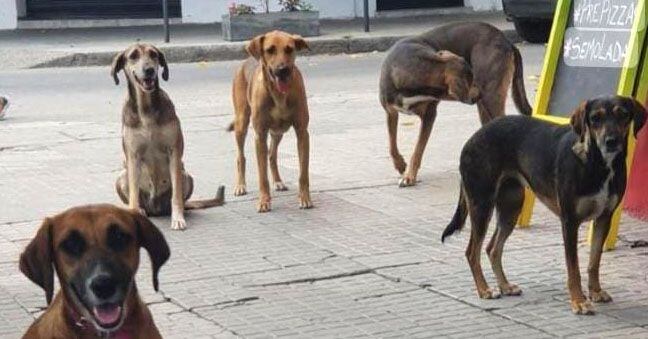 comida gratis en Tucumán