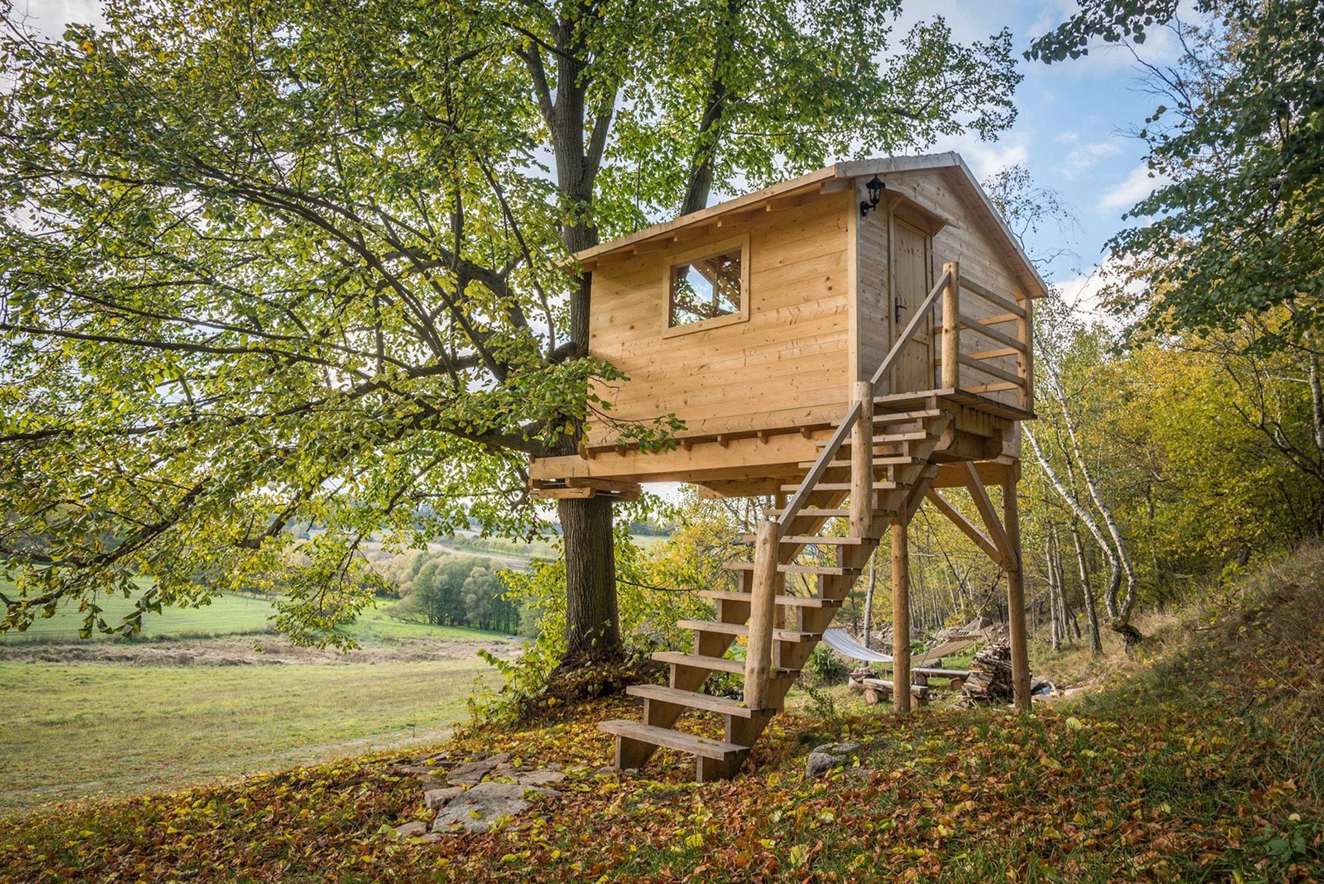 Construcción de casas entre árboles