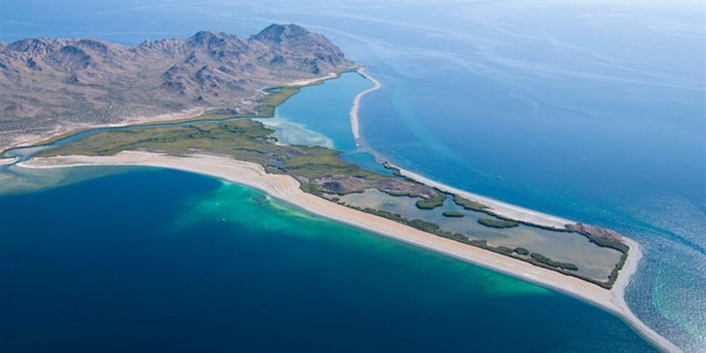 Un paraíso: así es la isla de Baja California Sur que fue comprada con  criptomonedas - Infobae