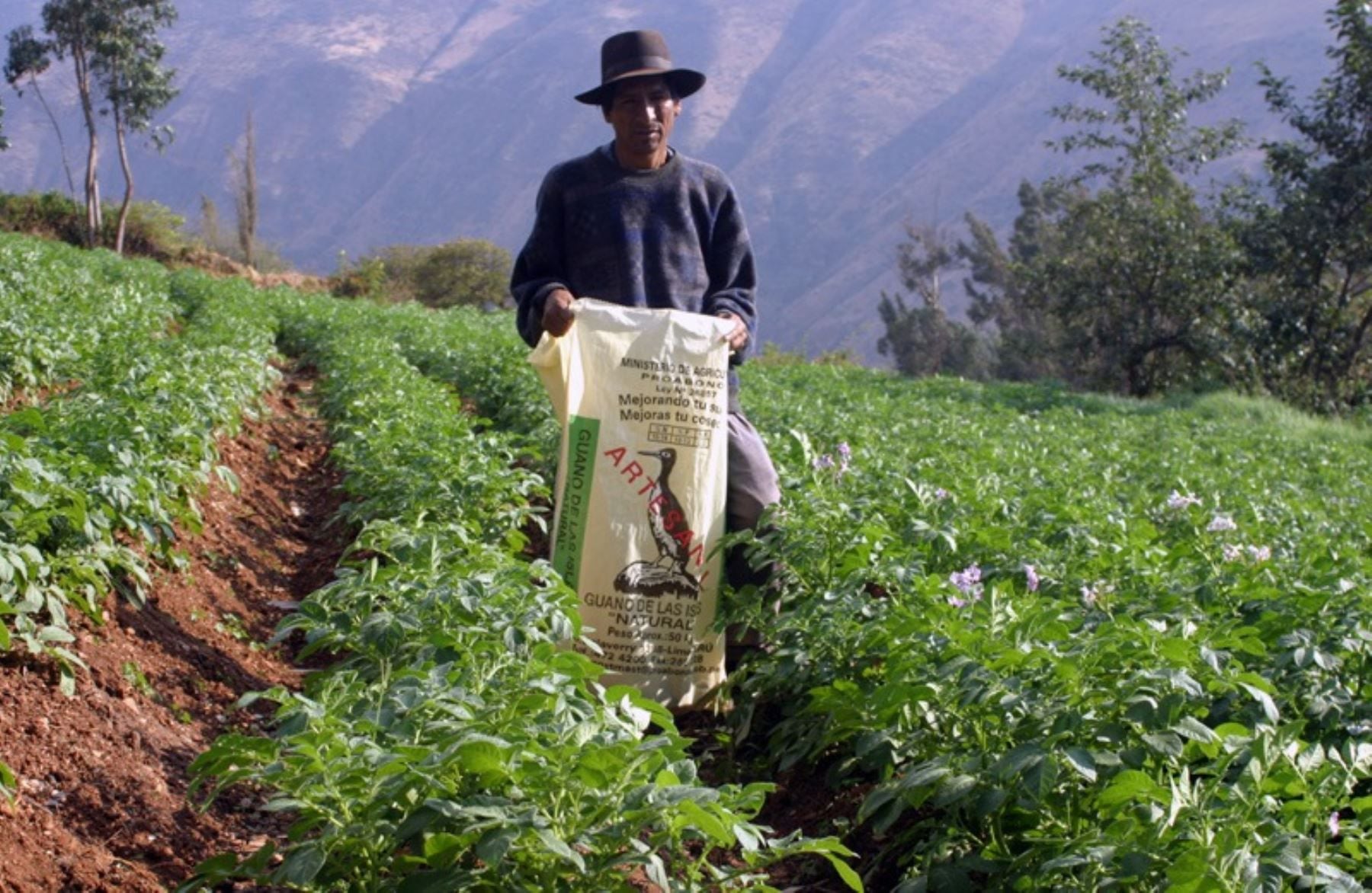 Conoce los requisitos para acceder a este beneficio. Foto: Andina.