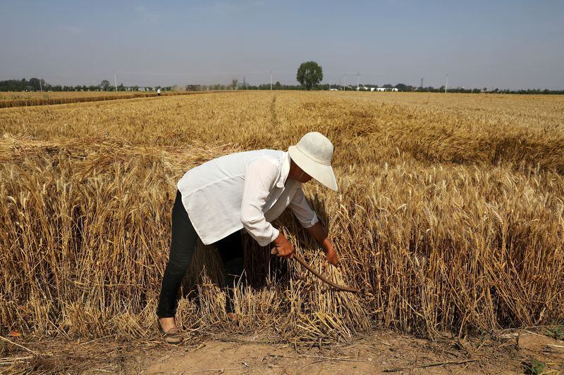El agro está entre las actividades con menor nivel de salarios. (Reuters)