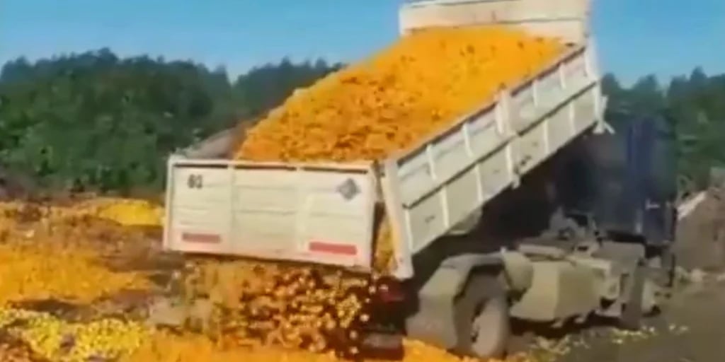 El impresionante video viral en el que se tiran a la basura más de 8.000 kilos de mandarinas: “El poder adquisitivo se desplomó”