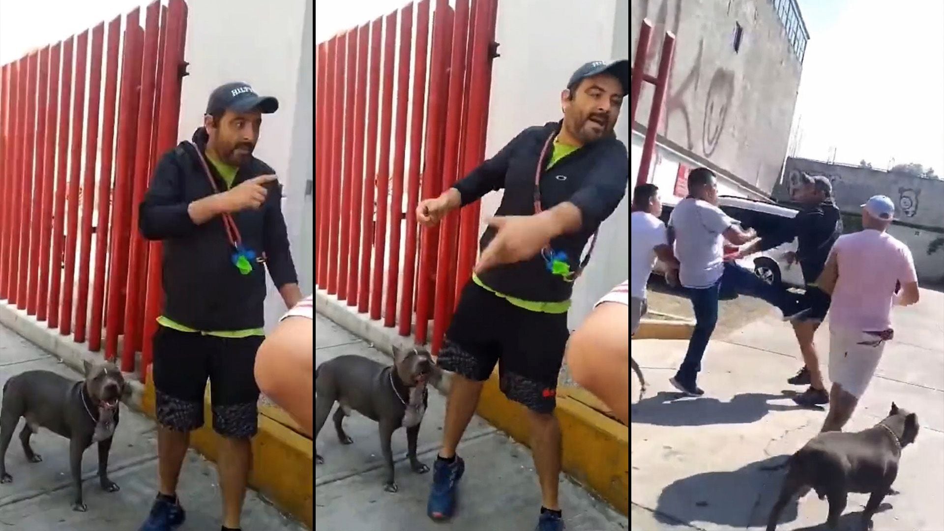 Hombre golpea a mujer que le reclamó por pasear a su perro sin correa; caso  indigna | VIDEO - Infobae