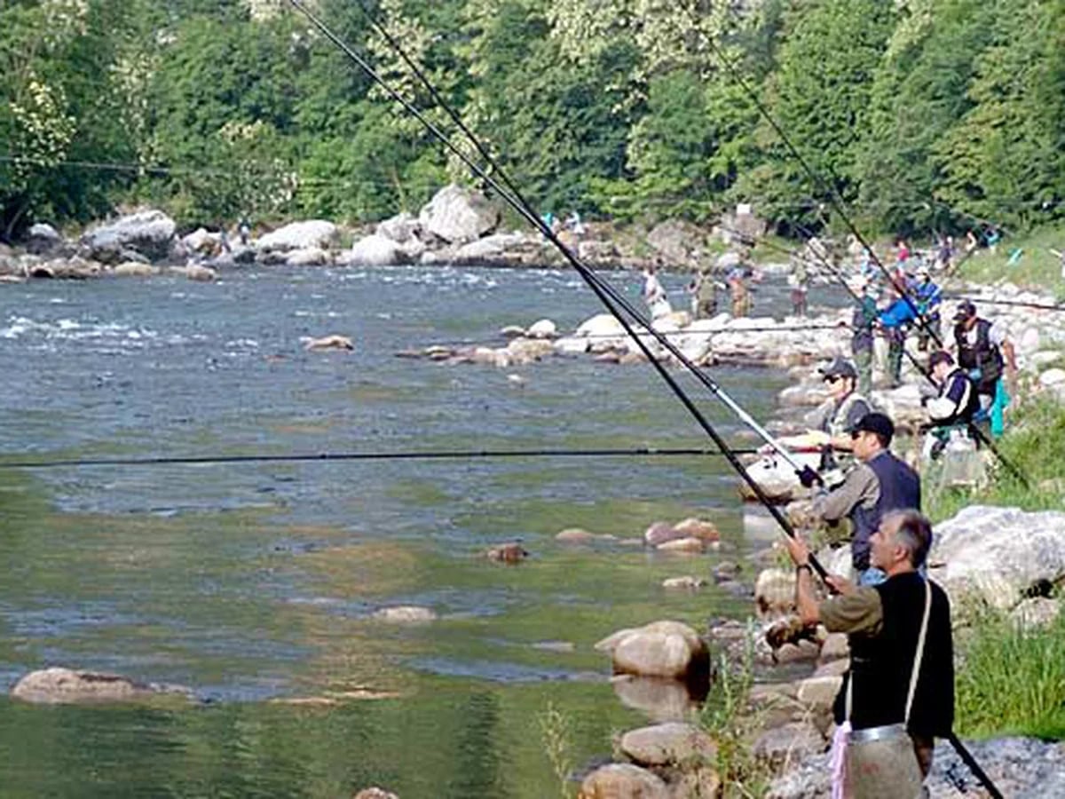 Anzuelos de pesca - Anatomía del Anzuelo - Pesca en Argentina - Todo sobre  Pesca Deportiva