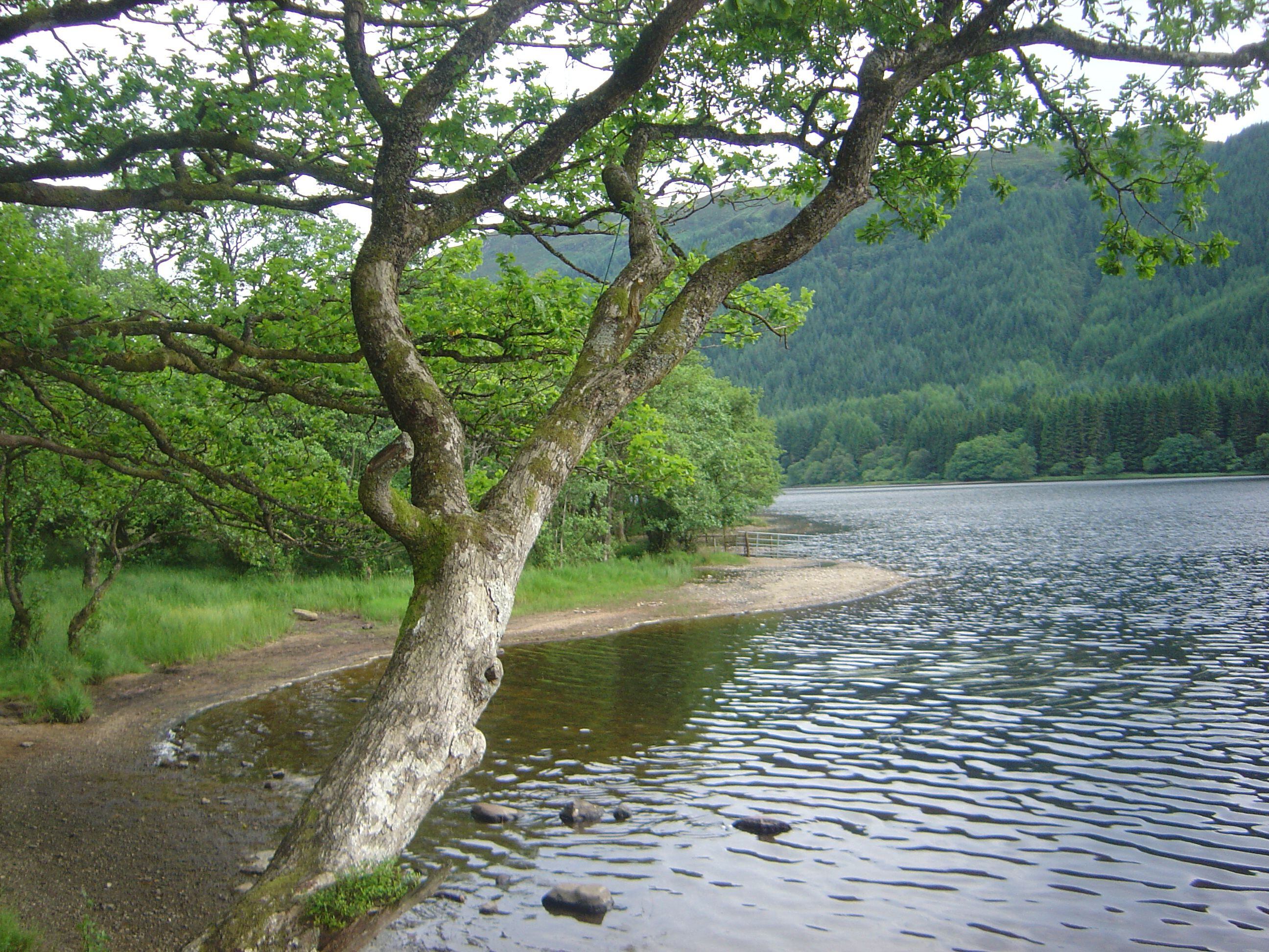 Trossachs.