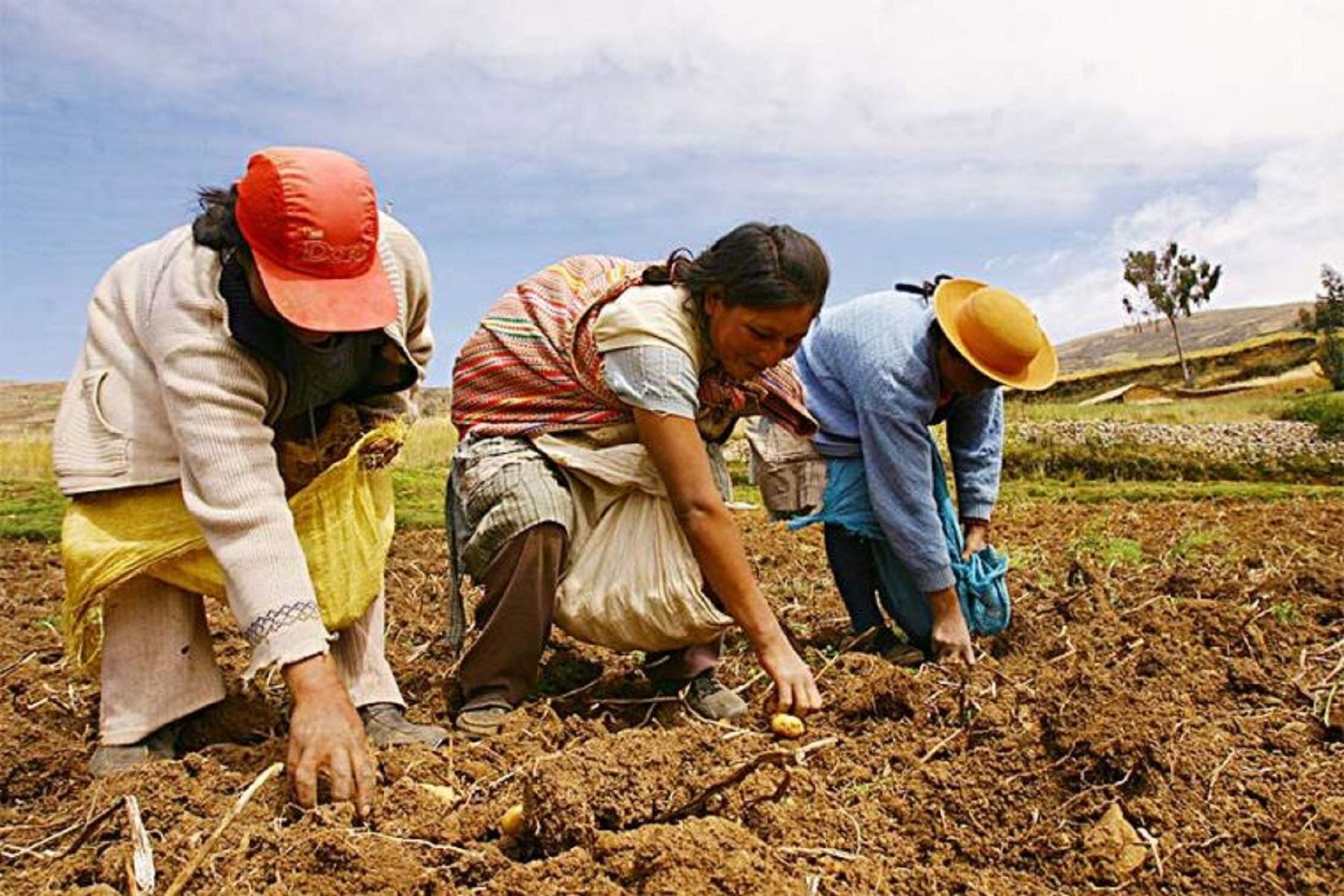 Eventos climatológicos vienen afectando a más de 8.000 hectáreas de cultivos y más de 5.000 agricultores.