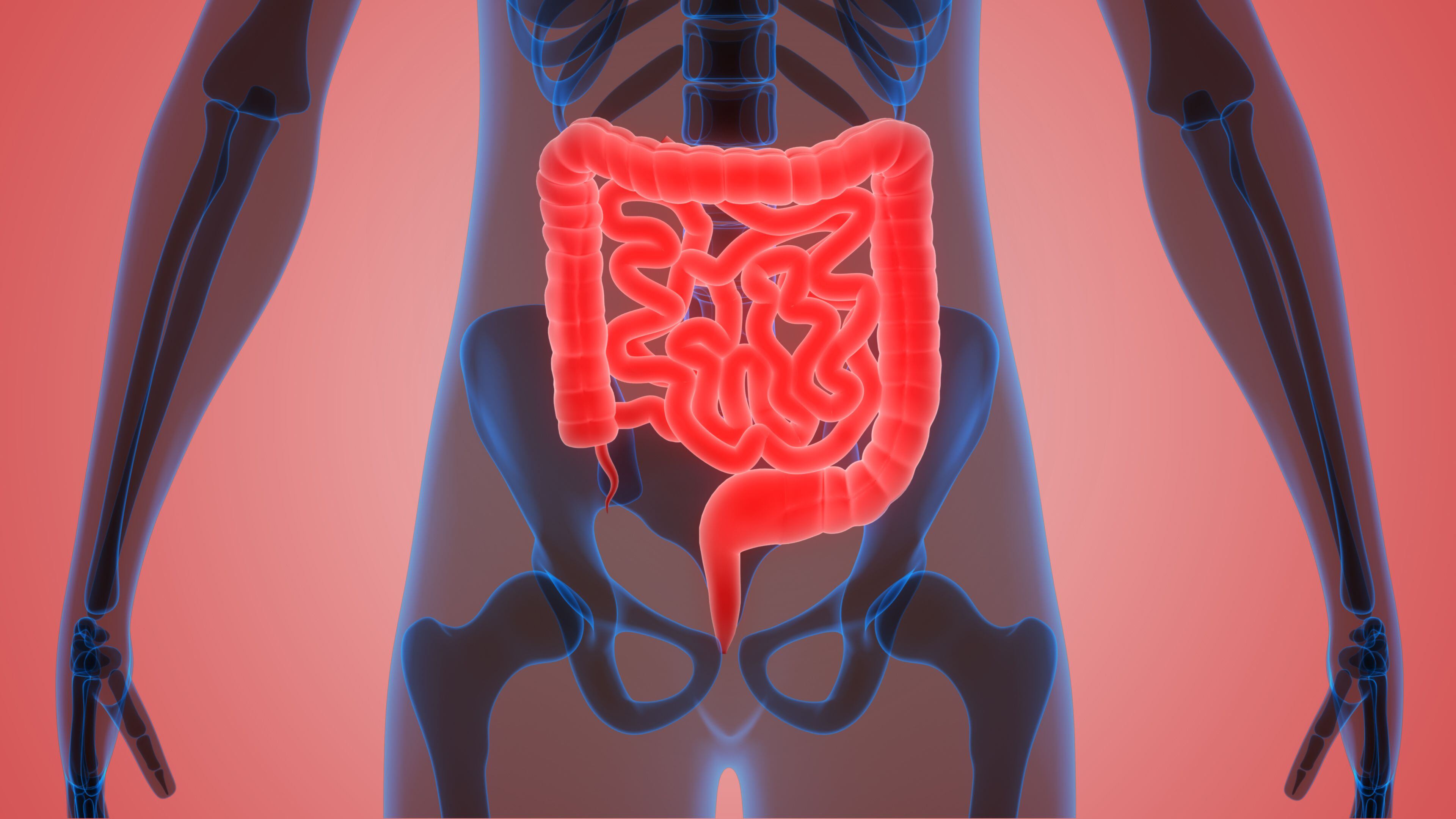 La 'conexión intestino-cerebro' en los tratamientos para la obesidad revela una compleja interacción, donde los problemas intestinales pueden provocar síntomas emocionales
(iStock)