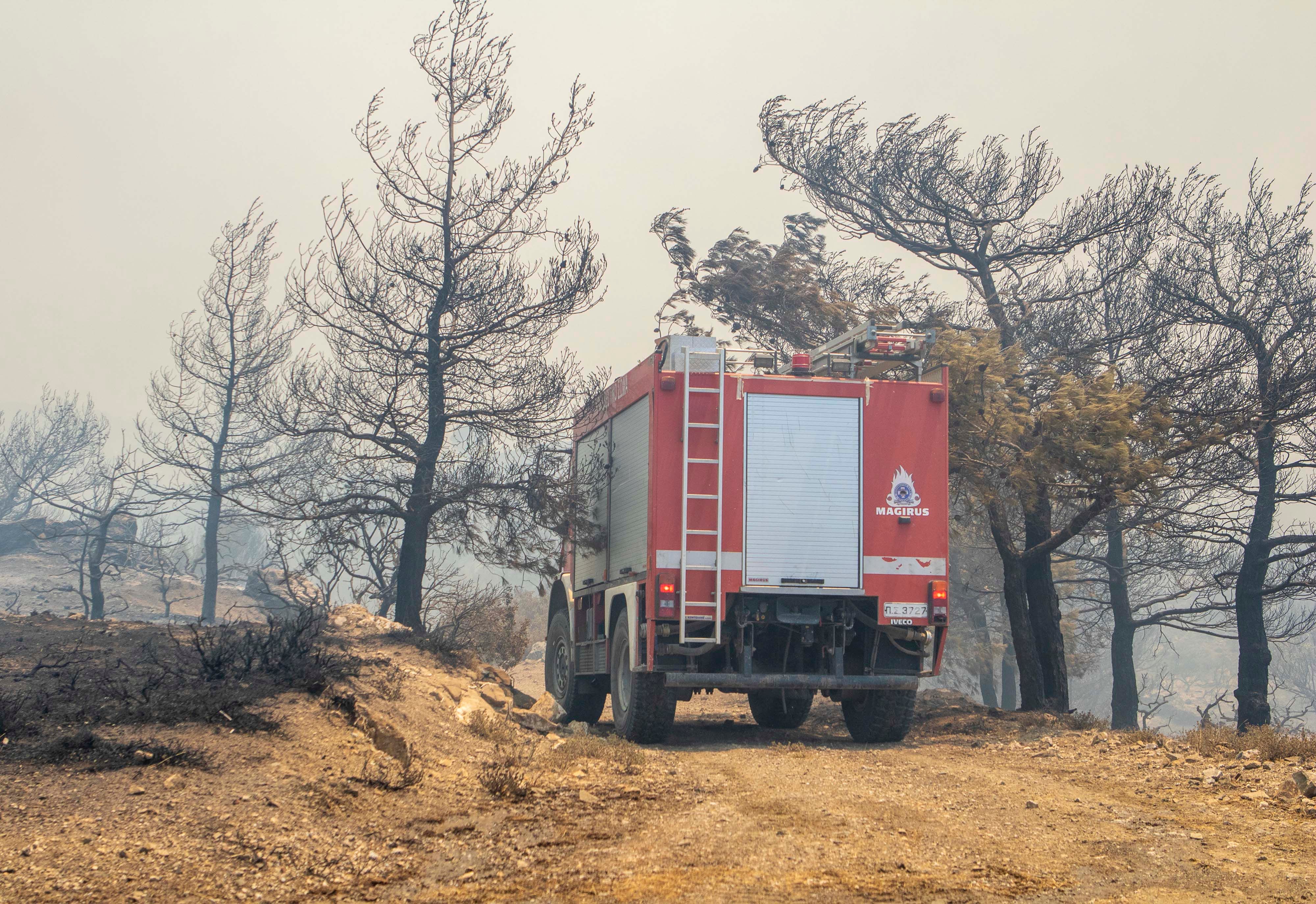 Un vehículo de extinción de incendios atraviesa árboles quemados durante un incendio forestal en la isla de Rodas, Grecia, el domingo 23 de julio de 2023. (Lefteris Diamanidis/InTime News vía AP)