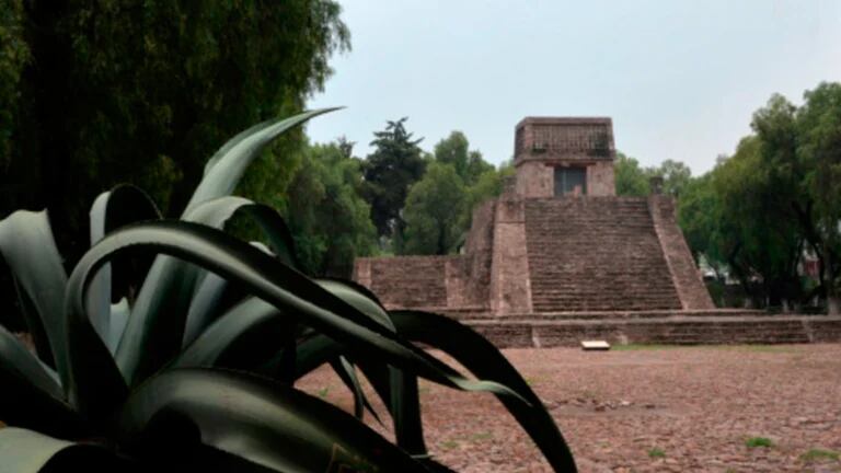Tesoros Prehispánicos Revelados En La Zona Arqueológica Escondida De 