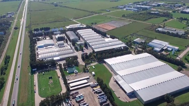 Imagen de la planta de la empresa en Gualeguaychú (Foto: camptura de Youtube, Big Empanada)