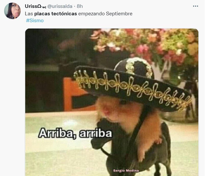 Se volvió estática ✨ #memes #memesmexico #memesenespañol