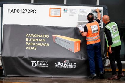 Fotografía tomada el pasado 3 de diciembre en la que se registró la descarga del primer lote de la "Coronavac", la vacuna contra la covid-19 desarrollada por el laboratorio chino Sinovac, en el aeropuerto internacional de Guarulhos, que opera para la ciudad de San Pablo (Brasil). EFE/Sebastiao Moreira/Archivo