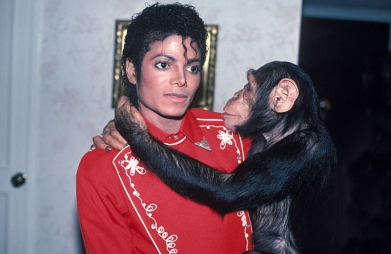 Fuentes aseguran que Michael Jackson habría puesto muy incómodo a Freddie por tener a su famoso chimpancé Bubbles en el estudio