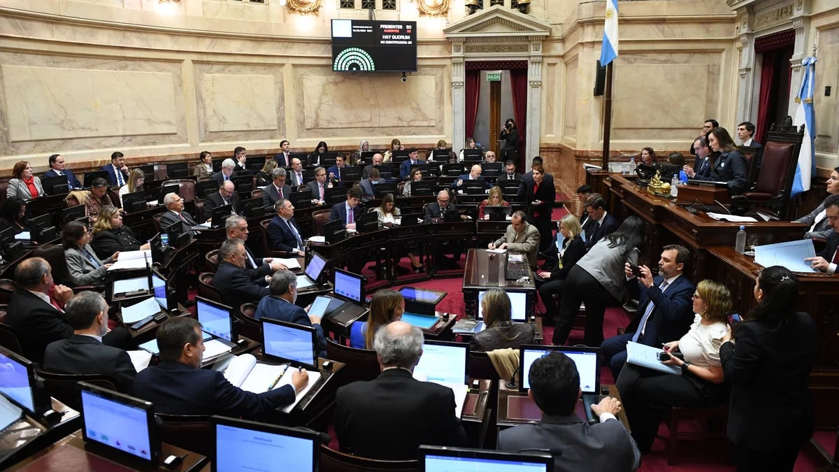 Así es la Ley Bases que se debate en el Senado, artículo por artículo