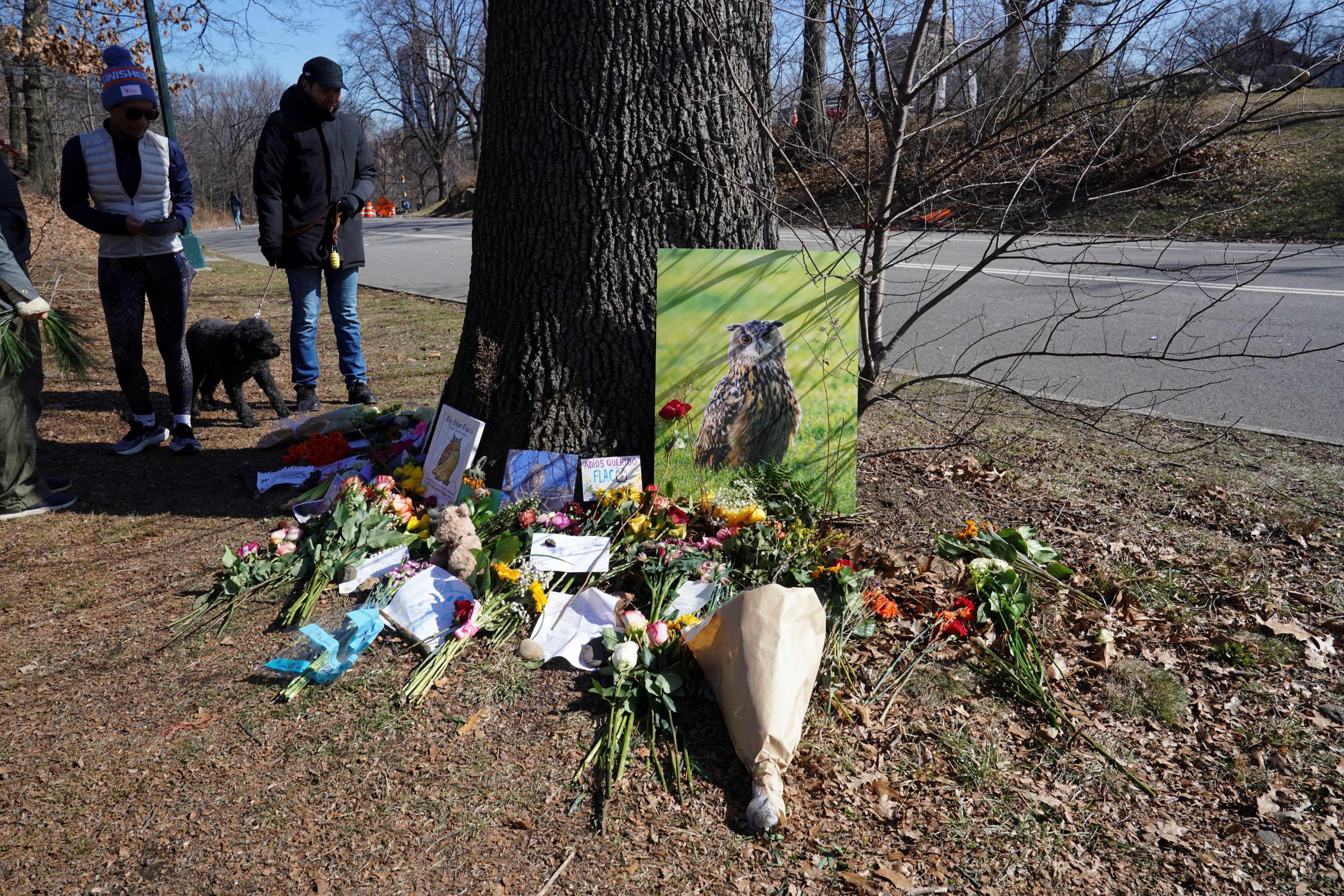 Cartas, flores y retratos fueron algunas de las cosas con las que decenas de neoyorquinos honraron a Flaco tras su muerte. (REUTERS/Bing Guan)