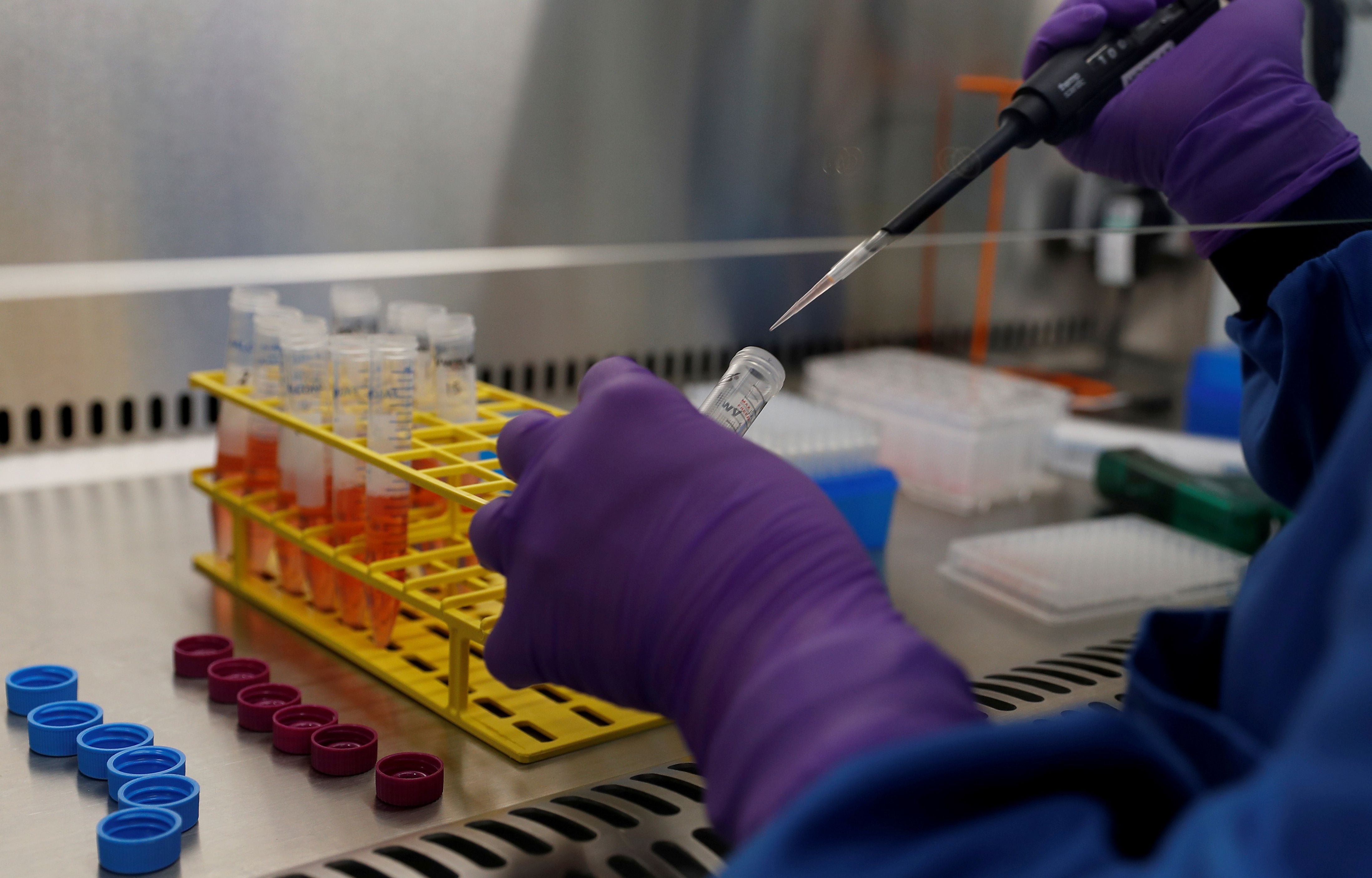 ¿Se puede crear vida en el laboratorio? Los embriones sintéticos desafían la biología tradicional
REUTERS/Peter Nicholls/File Photo