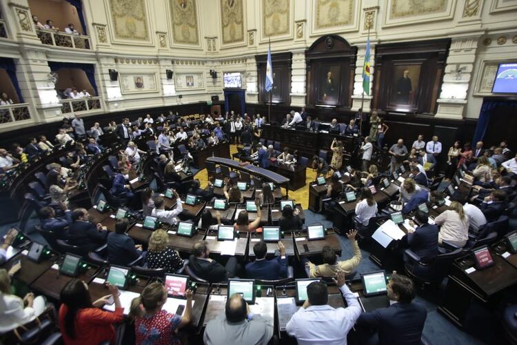 En Diputados está avanzado el acuerdo para que la mayoría de los legisladores sesionen en forma virtual (Salva Santiago)
