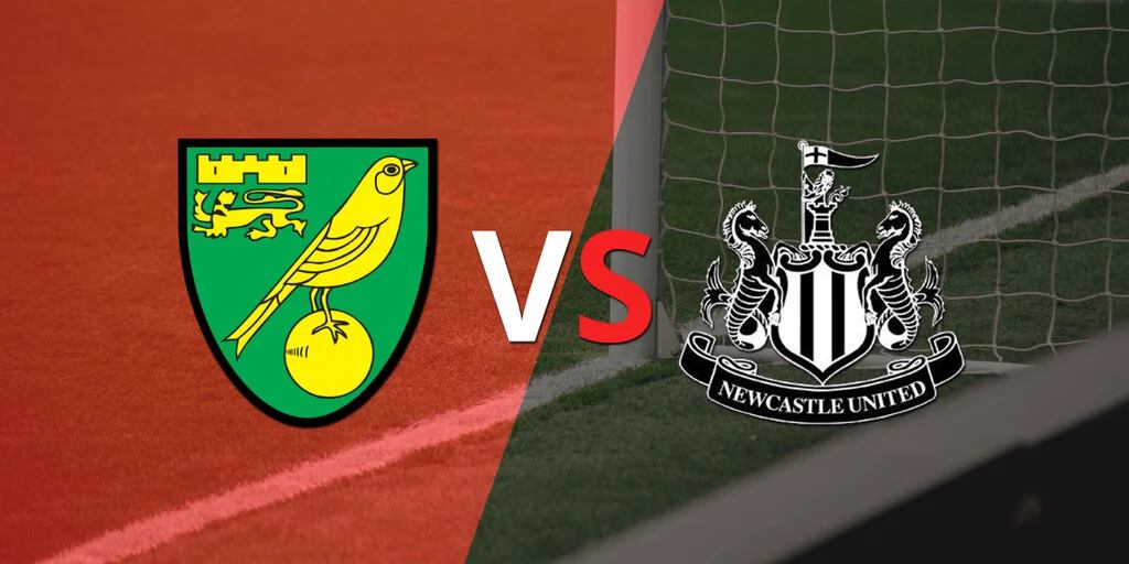 Norwich City faces Newcastle United seeking to get out of the bottom.