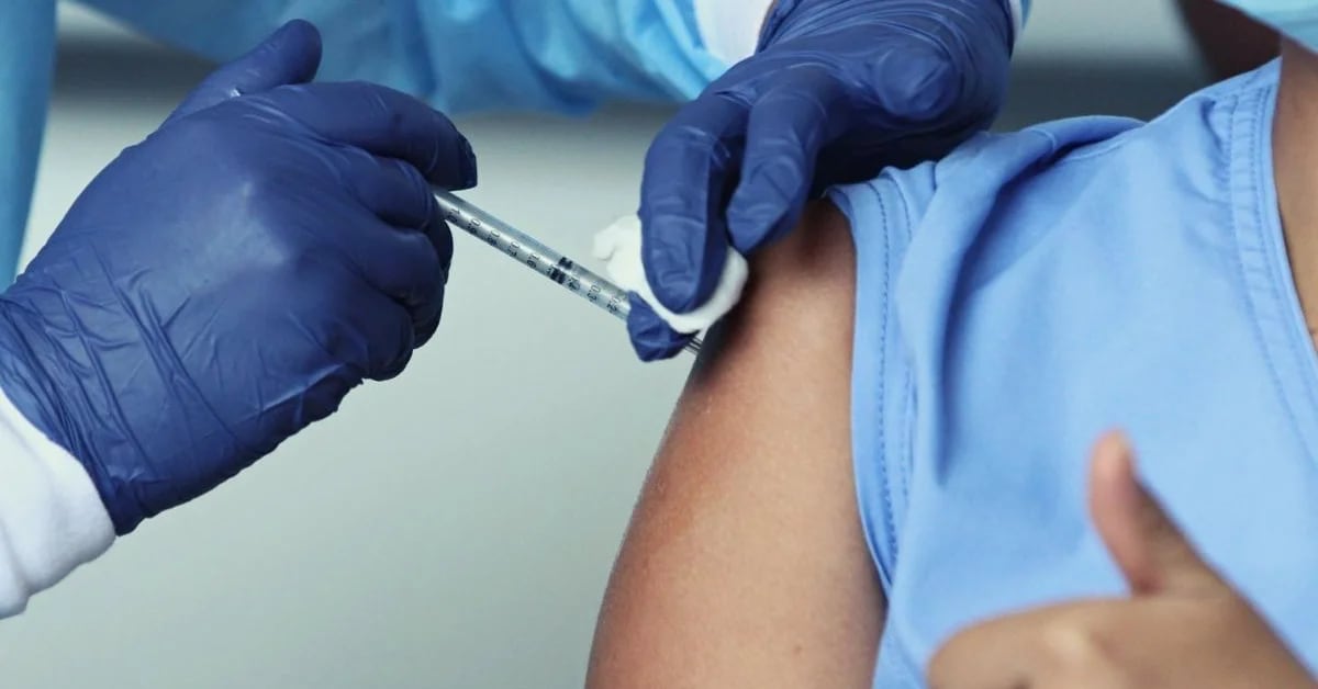 Quello che dice lo studio della rivista scientifica The Lancet analizza perché, per 50 giuristi, la vaccinazione contro il COVID-19 dovrebbe essere obbligatoria.