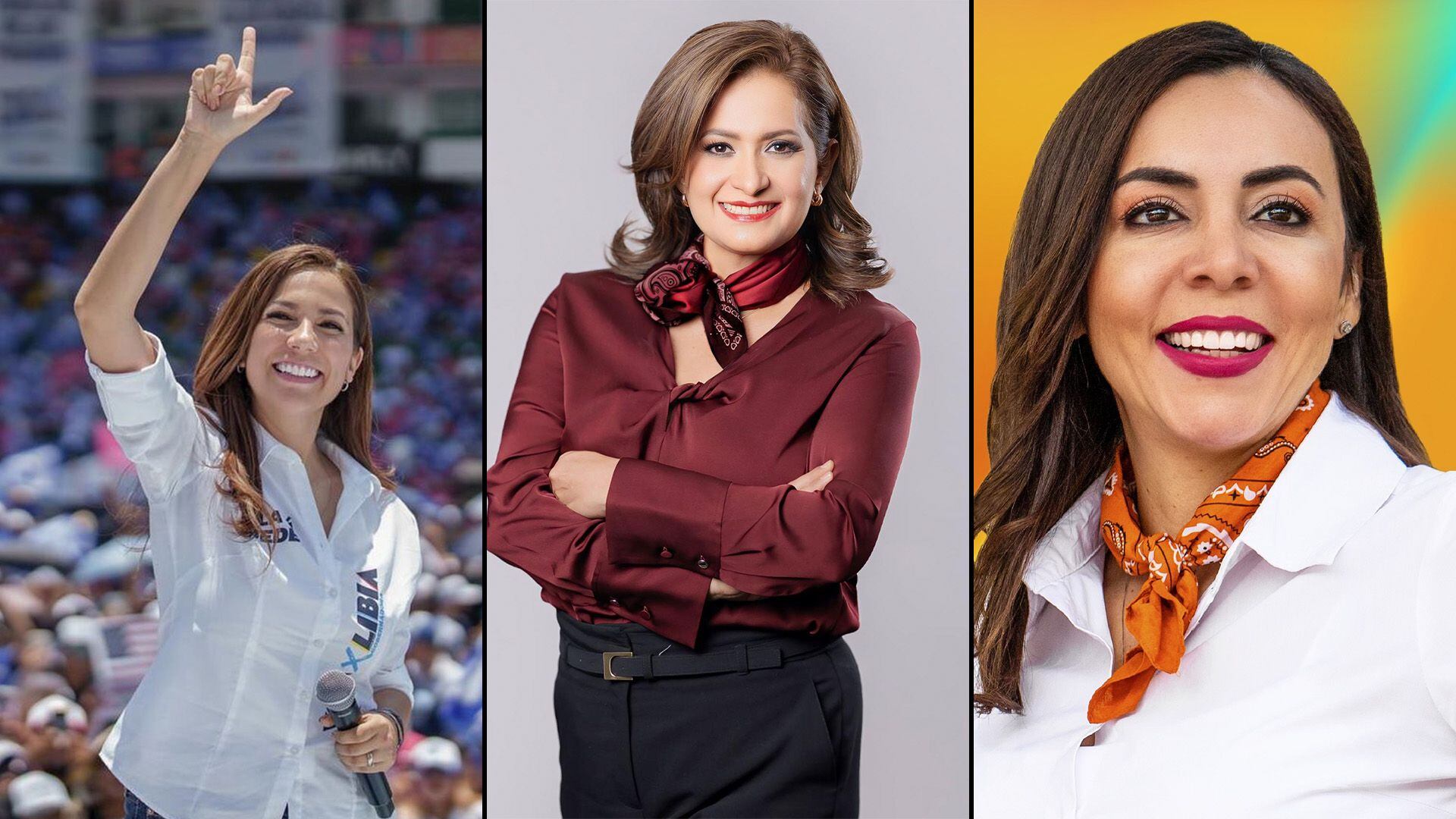 Libia Denisse García lleva ventaja en las encuestas de las elecciones a la gubernatura de Guanajuato.

Libia Denisse García, Alma Alcaraz, Yulma Rocha, guanajuato