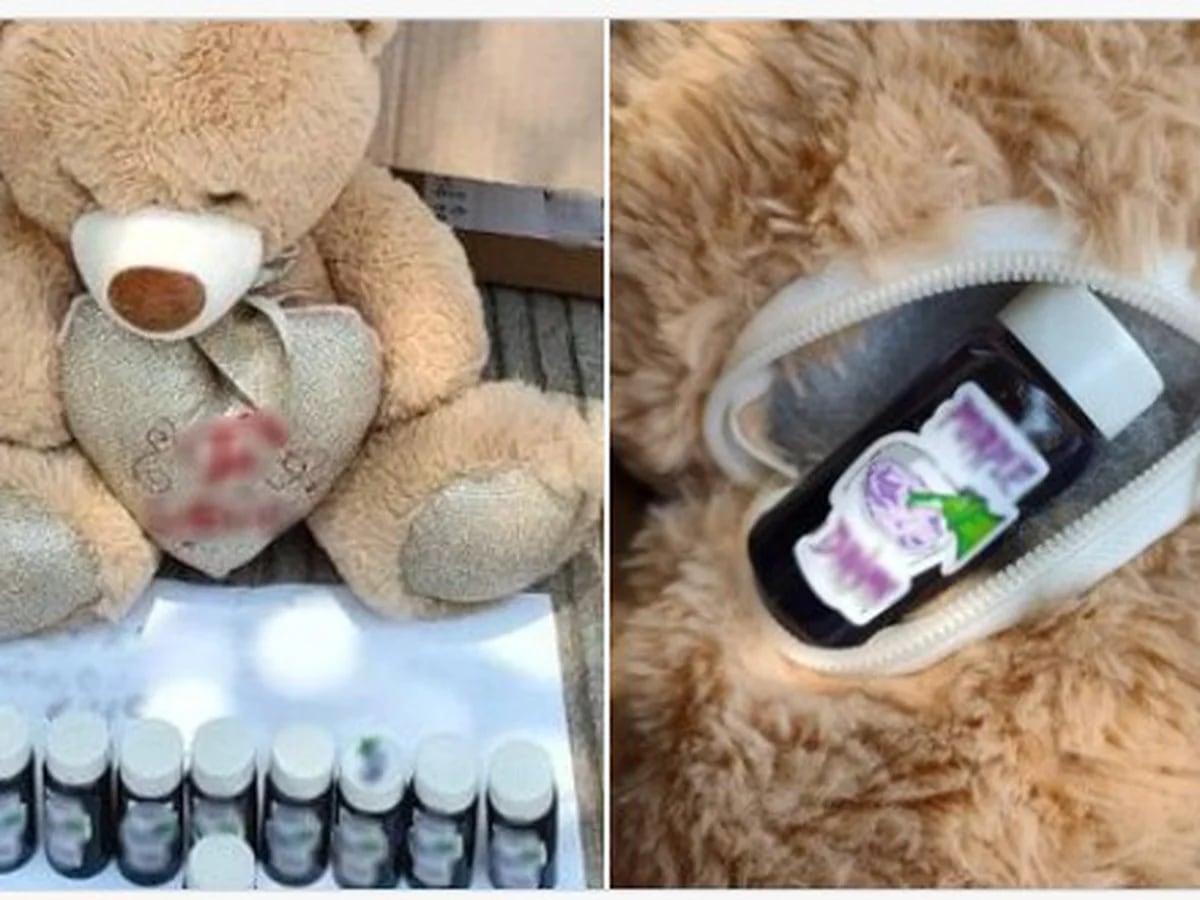 En Sinaloa, Guardia Nacional asegura oso de peluche relleno de frascos con  sustancia derivada de opio