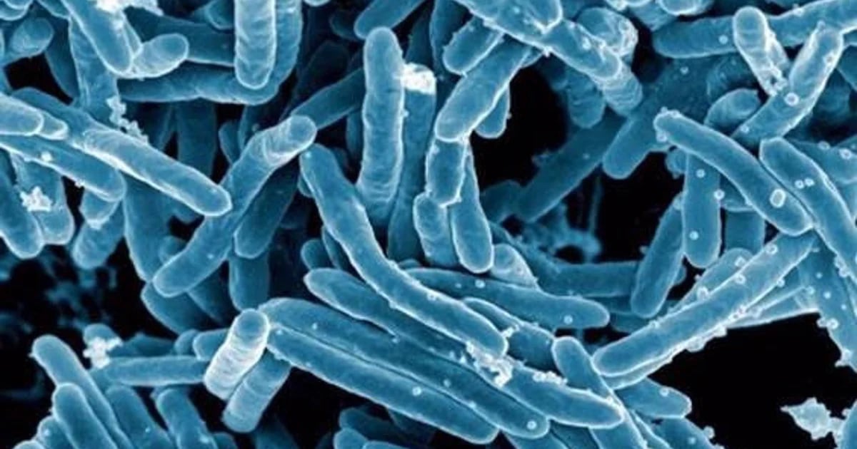 日本を警戒させた人食いバクテリアがメキシコに到達する可能性はどのくらいあるのでしょうか？