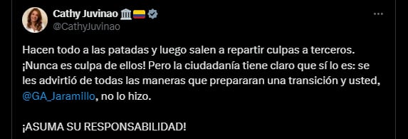 La representante Juvinaro aseguró que el Gobierno nacional hace todo a las patadas y luego culpa a terceros - crédito @CathyJuvinao7X