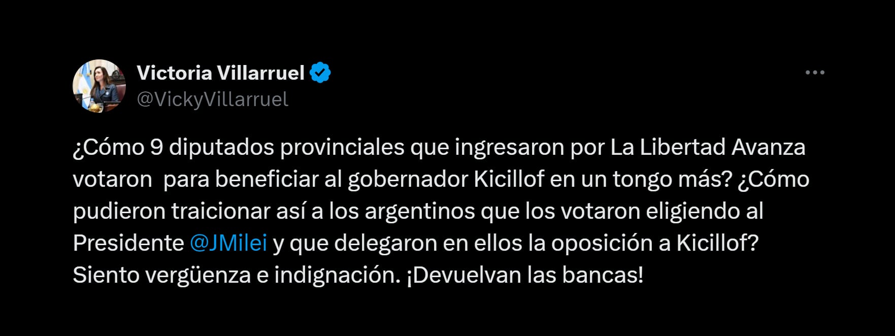 El contundente mensaje que publicó Villarruel por el resultado de la sesión celebrada el miércoles en la Legislatura Bonaerense (X: @VickyVillarruel)
