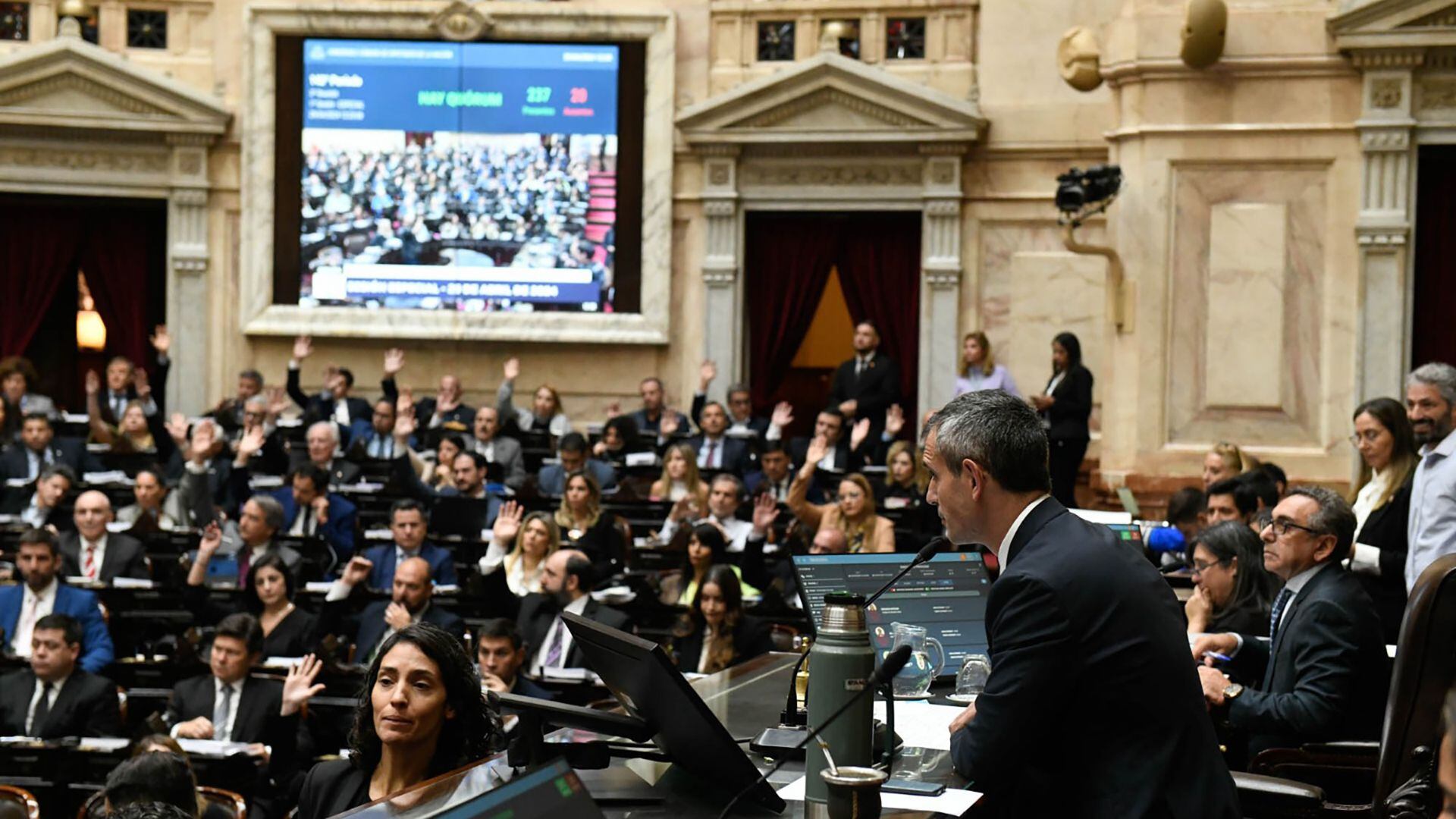 Debate Ley Bases en el congreso de la nación - Diputados - 29.04.2024