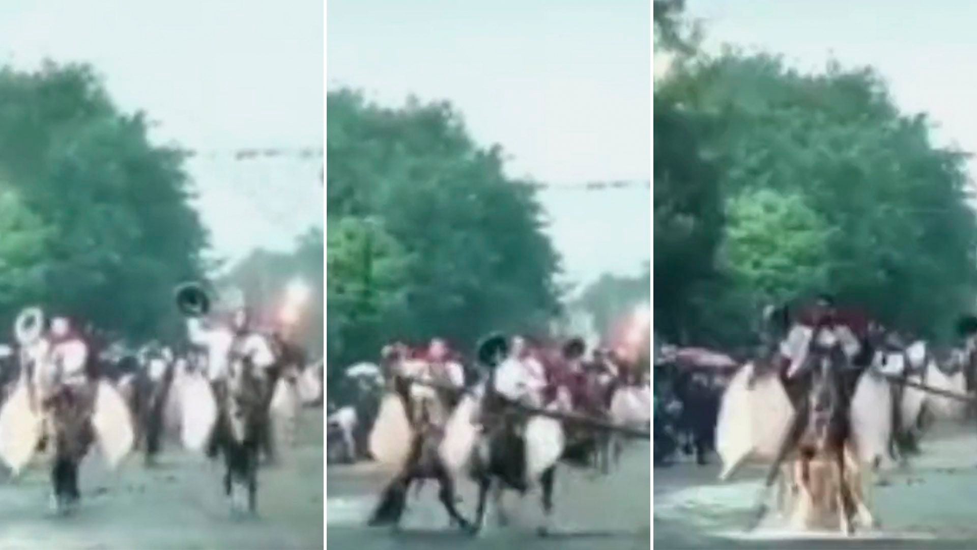 a light pole fell on the horses in a gaucho parade in Salta