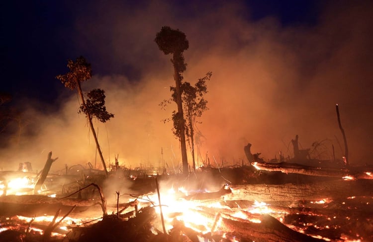 Los incendios en el Amazonas, la deforestación masiva,el tráfico de animales son causantes del recrudecimiento de pandemias que traspasan de animales a seres humanos. REUTERS/Ricardo Moraes