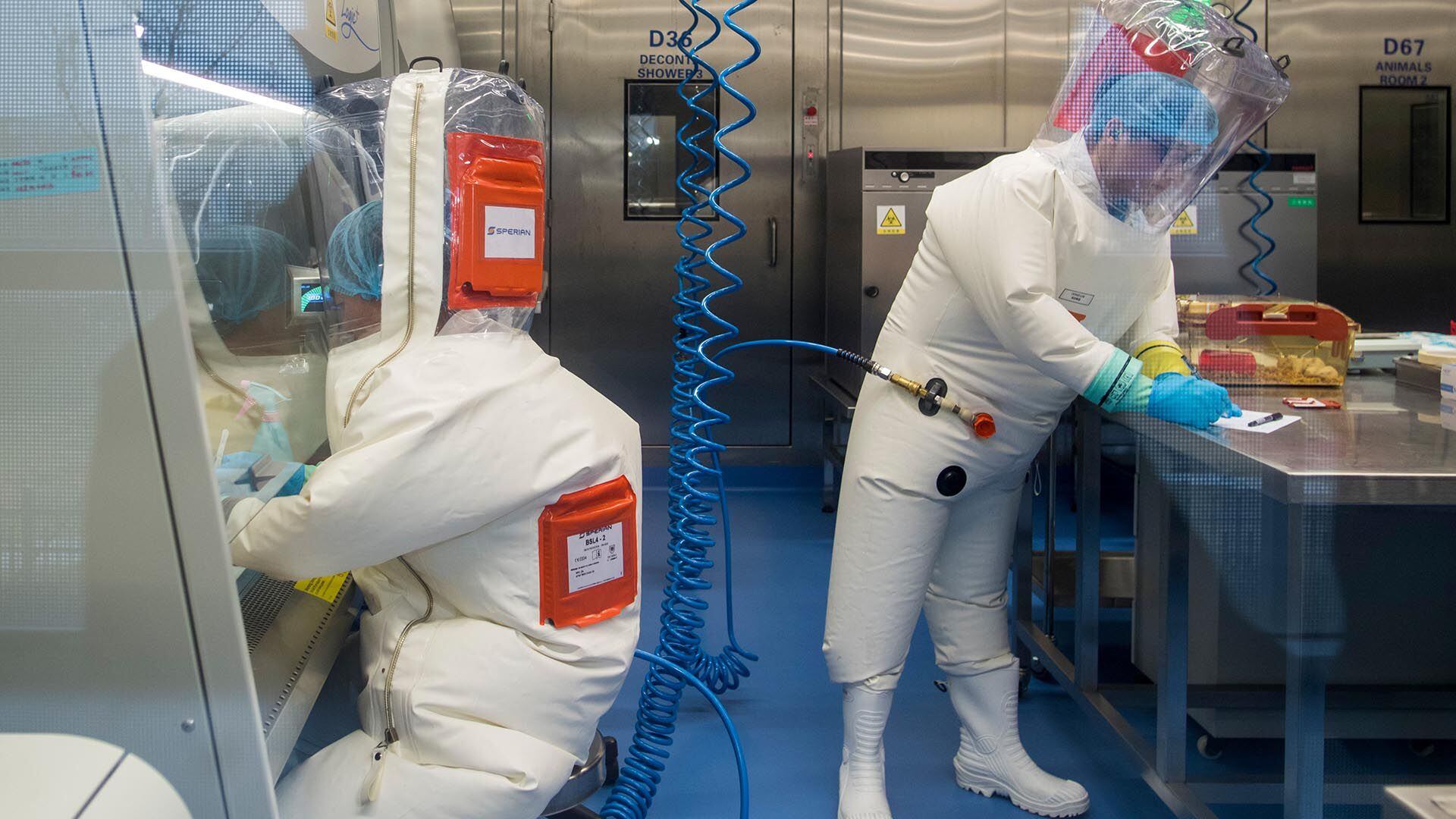 Esta foto de archivo tomada el 23 de febrero de 2017 muestra a unos trabajadores junto a una jaula con ratones (dcha.) en el laboratorio P4 de Wuhan, capital de la provincia china de Hubei (AFP)