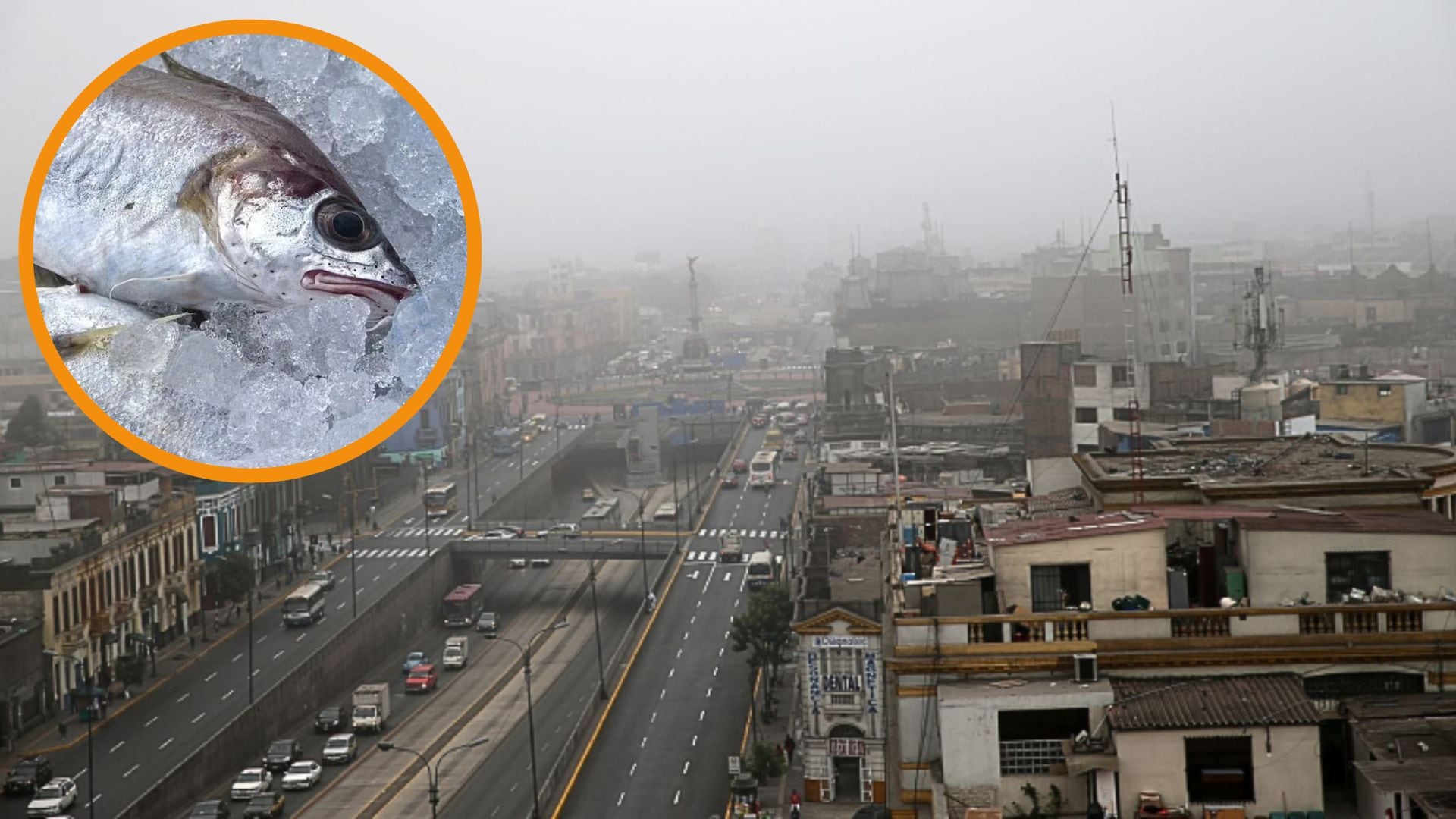 Un fuerte ‘olor a pescado’ invadió la ciudad de Lima: ¿A qué se debe y hasta cuándo nos acompañará este fenómeno?