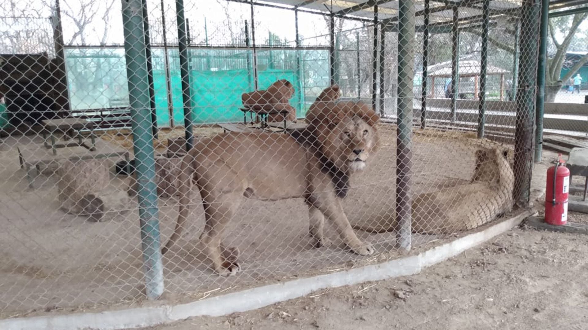 Inspección al zoológico de Luján - Defensoría del Pueblo