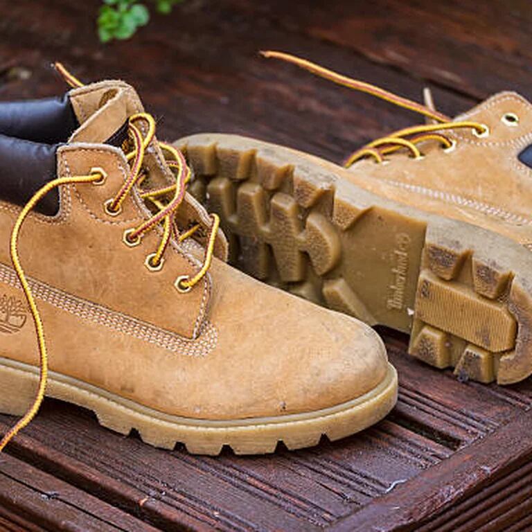 Timberland de sales outlet