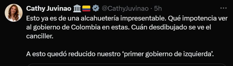 La representante a la Cámara aseguró que le da impotencia ver como actúa el Gobierno nacional - crédito @CathyJuvinao/X
·